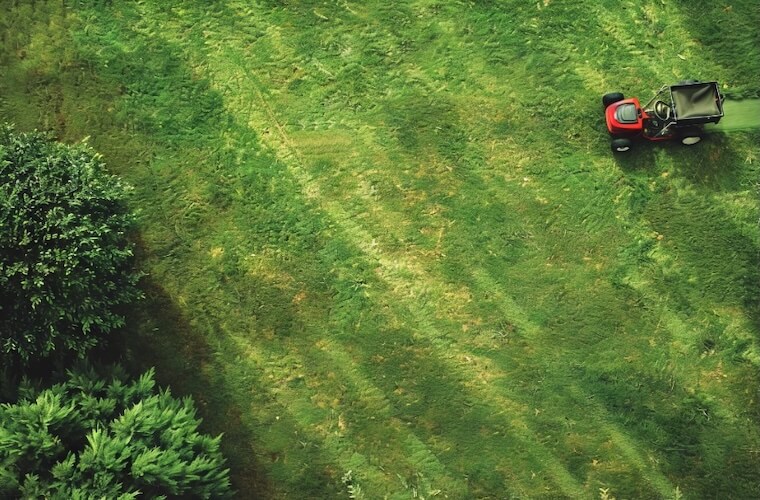 lawncare buffalo ny